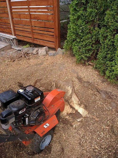 Photo d'une dessoucheuse. C'est une machine utilisée pour broyer des souches d'arbres